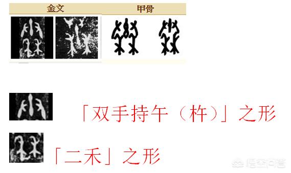 头条问答 秦字的字形为什么从古一直延续到今没有被简化 4个回答