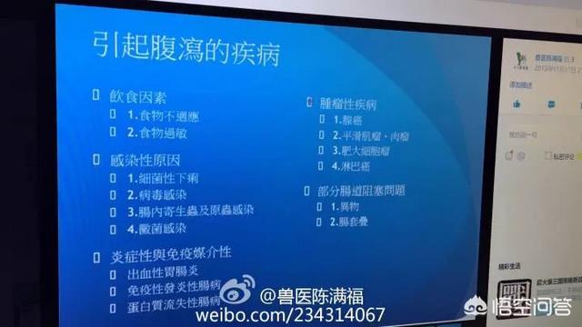 斗牛幼犬拉稀怎么办:法斗饭后拉稀，法斗吃食后拉稀怎么办？