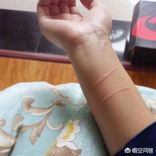 我和我的宠物:#我和宠物#养一只脾气不好的宠物是什么样的体验？