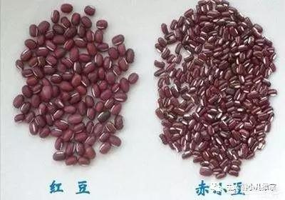 红豆薏米粥到底除湿吗，适合长期吃吗？