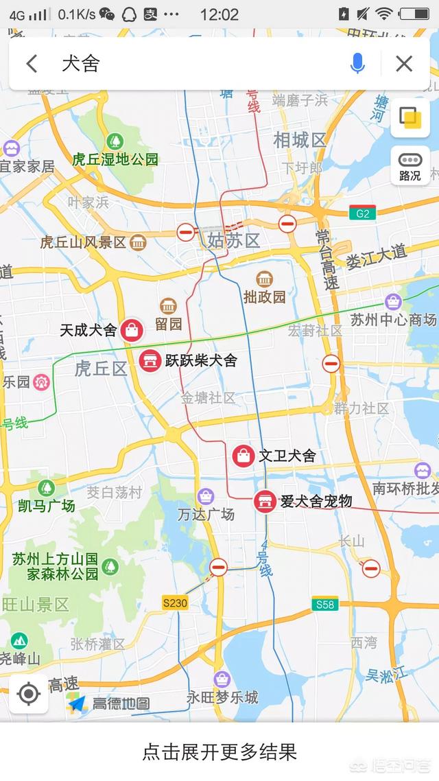 白色的威尔斯科基犬:威尔斯柯基犬品相 这只三色柯基如何？价位是多少？