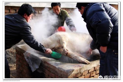 新疆有哪些让你难忘的家常菜？有没有什么和家常菜相关的小故事？