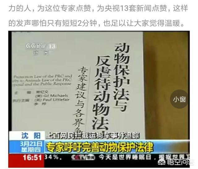 杭州 拦车救狗:杭州萧山义桥收费站拦截一辆运狗车，大家怎么看？
