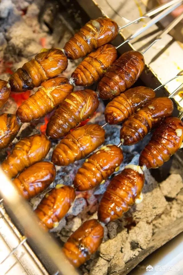 头条问答 蚕蛹怎么做最香最好吃 75个回答