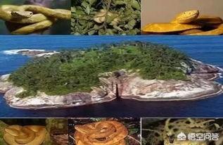 世界十大最恐怖的地方是哪？