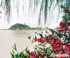 唐朝王维描写春天的唯美诗句有哪些？