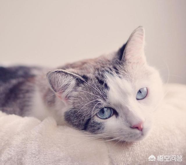 <a href=https://maguai.com/list/256-0-0.html target=_blank class=infotextkey>朋友圈</a>背景图文字:都有哪些优美的文字图片、壁纸、头像和网名？