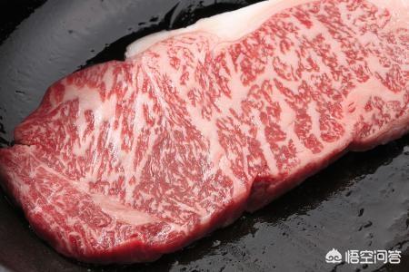 日本牛太肥到现在居然成了高档牛肉,为什么中国牛肉没这么厉害？