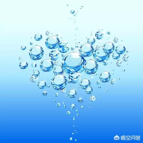024观赏鱼论坛哪去了:在家里养金鱼，平时怎么喂食和维护水质？