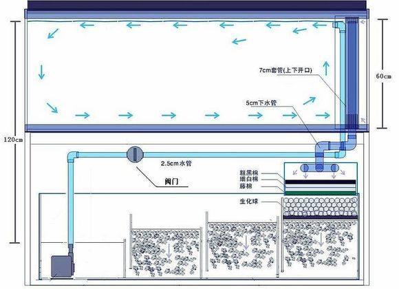 水族箱过滤器批发:鱼缸的过滤器里都面放什么？