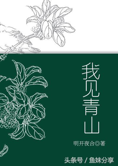 有什么破镜重圆的现代言情小说推荐吗？