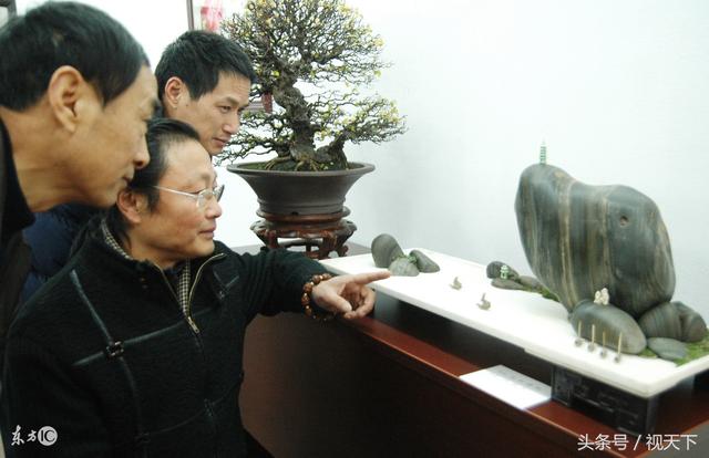 家里摆玉石原石好吗,家庭适合摆放什么样的奇石？