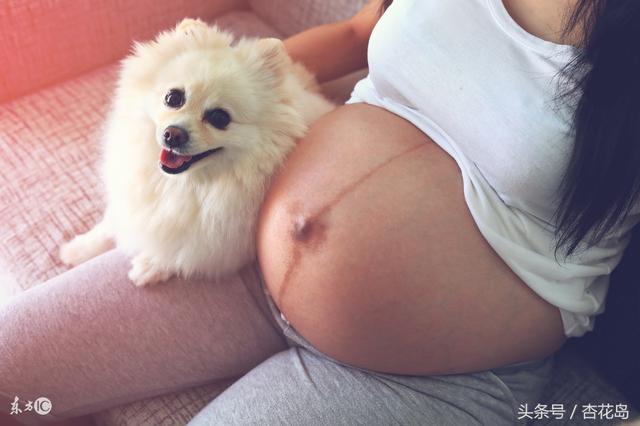 我做女犬的开心日子全下载:每天辛苦的工作。活的跟狗一样，这是你想要的人生吗？