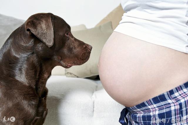 我做女犬的开心日子全下载:每天辛苦的工作。活的跟狗一样，这是你想要的人生吗？