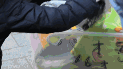 30个寿命最长的狗:狗狗的寿命一般多长？几岁算是老狗？