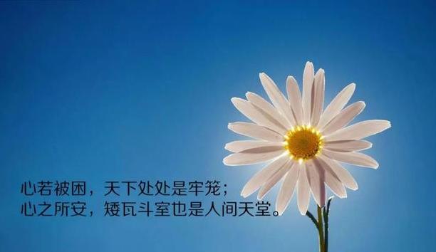 周一早安励志心语180611：不走心的努力，都是在敷衍自己