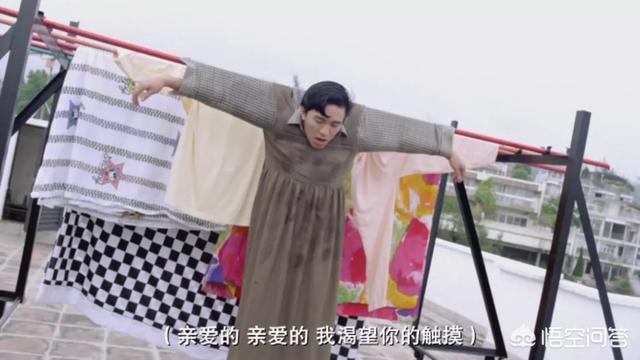 陈淑兰电影:感觉电影92版家有喜事隐喻了很多东西，都是什么？