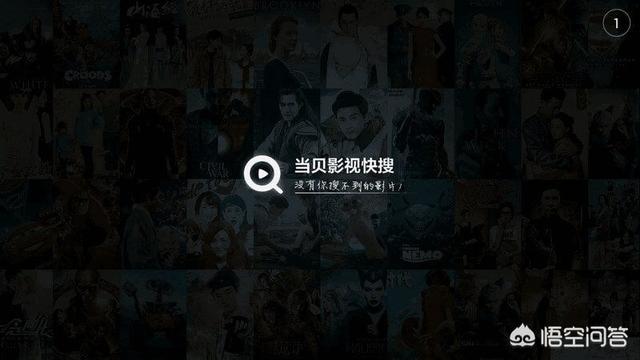 天眼猫视频:小猫不让碰，一靠近就“哈”人怎么办？