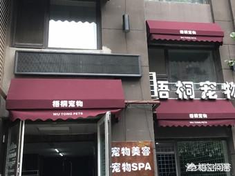 长春那家宠物店买小狗靠谱:长春有哪些靠谱的宠物店？ 长春市宠物在哪买比较可靠
