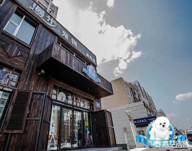 长春那家宠物店买小狗靠谱:长春有哪些靠谱的宠物店？ 长春市宠物在哪买比较可靠