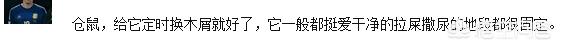 古牧怎么养干净:养狗怎样让家里保持干净？