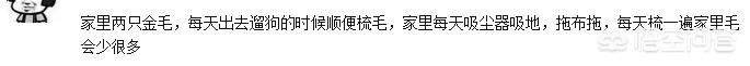 古牧怎么养干净:养狗怎样让家里保持干净？