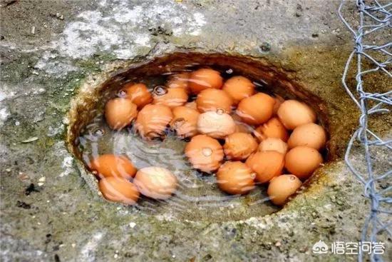 吉林長白山溫泉煮雞蛋為什麼那麼好吃？