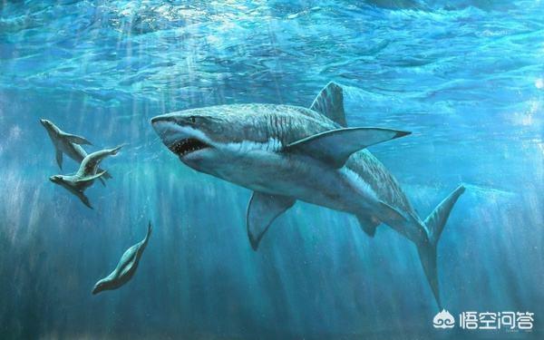 为什么巨形的海洋生物很多,但很少见到巨型的陆地生物呢？