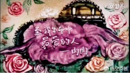 杜若溪图片:为什么这么多人羡慕严屹宽和杜若溪的爱情故事？
