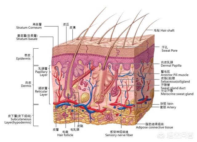 护肤品搓泥好还是不好,为什么护肤品会在脸上搓泥？