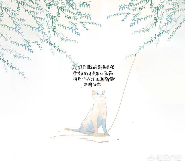 <a href=https://maguai.com/list/256-0-0.html target=_blank class=infotextkey>朋友圈</a>背景图文字:都有哪些优美的文字图片、壁纸、头像和网名？