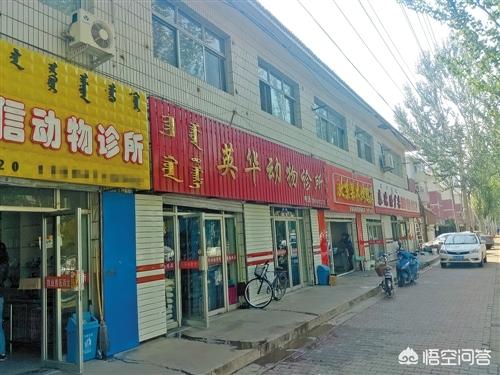求北京最好的宠物医院:呼和浩特有哪些靠谱的宠物医院？