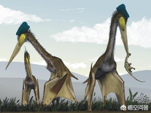 陆地有大象，海里有鲸鱼，为什么天上很少有比人体型更大的生物？