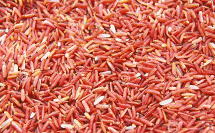 淀粉含量高的食物有哪些？