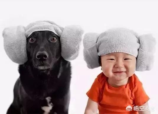 春节如何在<a href=https://maguai.com/list/256-0-0.html target=_blank class=infotextkey><a href=https://maguai.com/list/256-0-0.html target=_blank class=infotextkey>朋友圈</a></a>优雅的晒照片