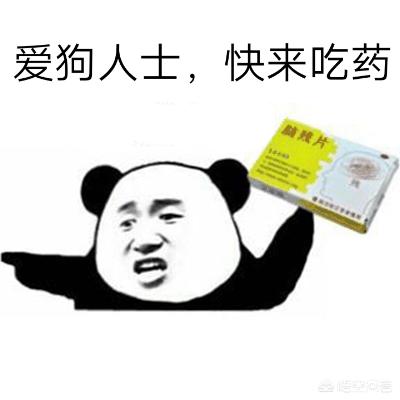 玉林荔枝狗肉节由来:广西玉林狗节能被取消吗？