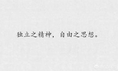 董卿被狐狸狗催眠不寒而栗:沉默内向，不会说话，不受欢迎，该怎么办？