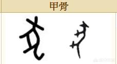 关于华人与狗的历史:今年是狗年，在中国历史上，狗扮演了怎样的角色？