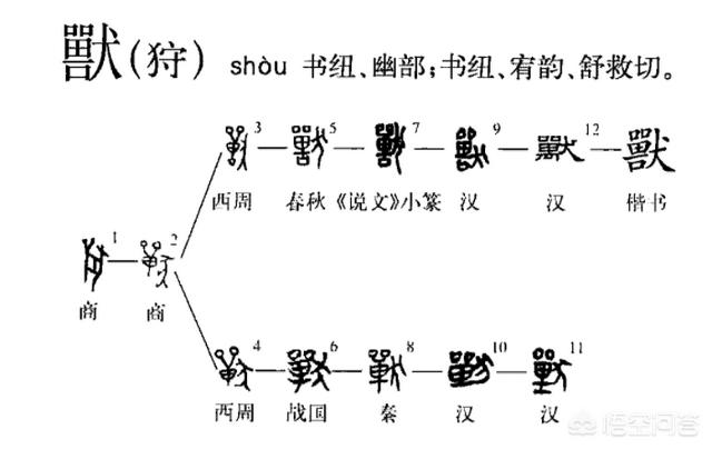 关于华人与狗的历史:今年是狗年，在中国历史上，狗扮演了怎样的角色？