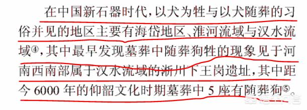 关于华人与狗的历史:今年是狗年，在中国历史上，狗扮演了怎样的角色？