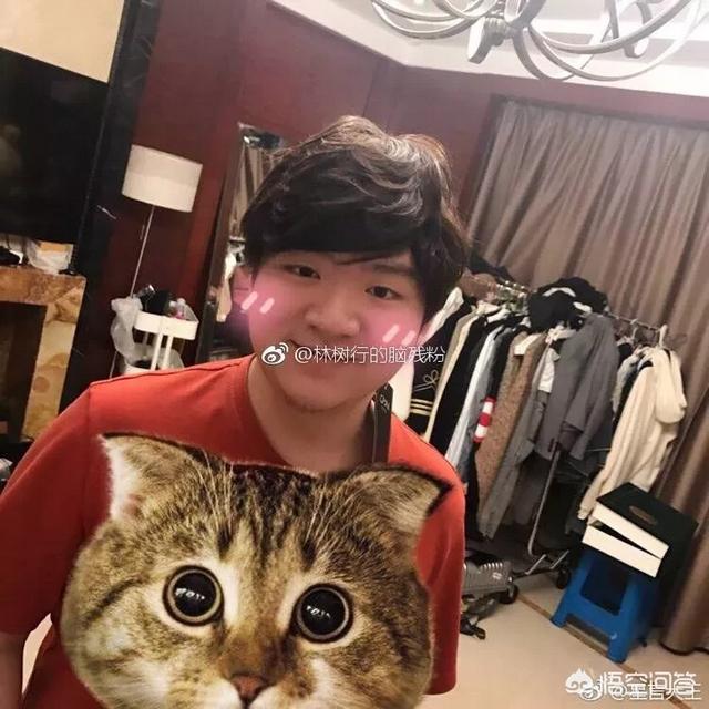 zzc是谁:马飞飞和zzc谁技术更厉害点？