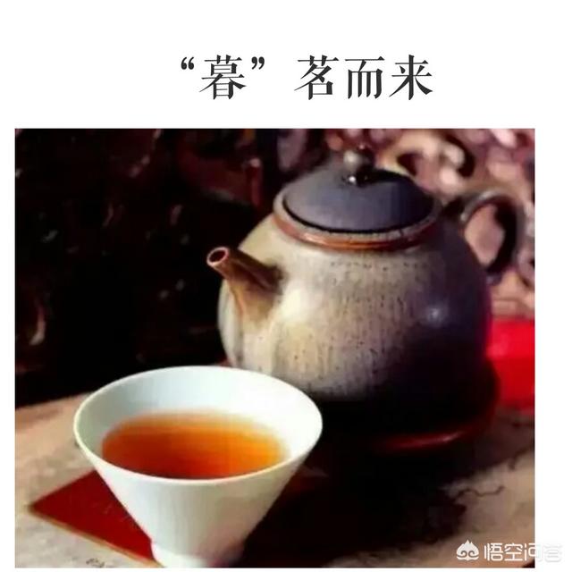 什么样的茶适合煮着喝,哪种普洱茶更适合煮着喝？