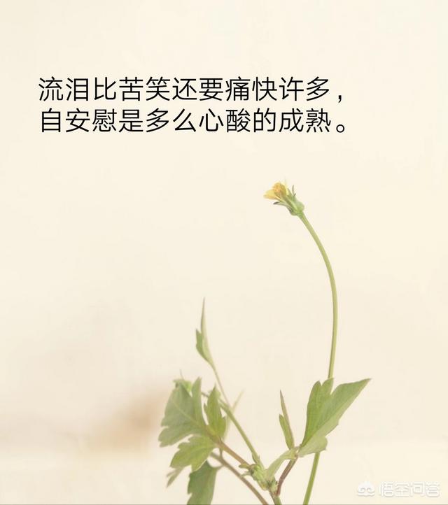 表达心情不好的句子和图片:大家有没有伤感的句子和图片？