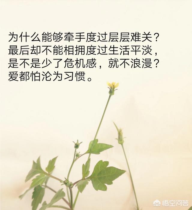 表达心情不好的句子和图片:大家有没有伤感的句子和图片？