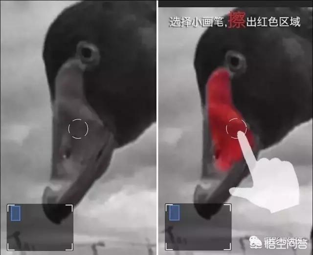 <a href=https://maguai.com/list/256-0-0.html target=_blank class=infotextkey>朋友圈</a>背景图ins风:在今日头条上写文章怎样找图片素材？(今日头条图片素材哪里找)