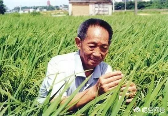 一年之计在于春是什么意思,一年之计在于春，计什么意思？