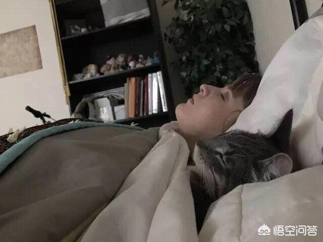 男人与狗:男人与狗的微信头像 男士想养宠物，选猫还是选狗？