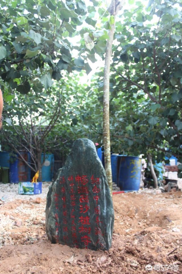 三沙市已经建了几年了，现在怎么样了？