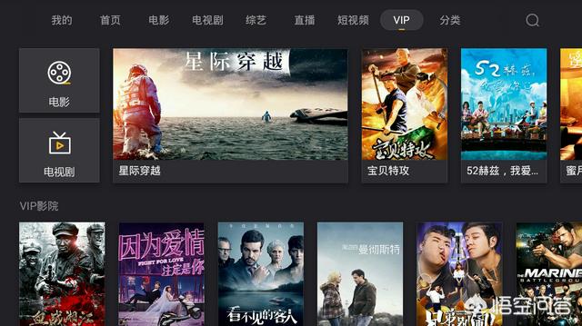 天眼猫视频:小猫不让碰，一靠近就“哈”人怎么办？