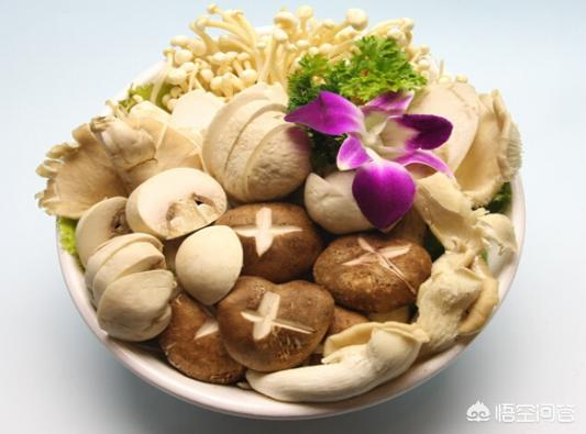 吃香菇、金针菇的好处有哪些？
